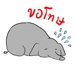 elephant and the driver (Thai language) sticker #9575525