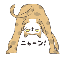 The cat which is surreal and not cute sticker #9575907