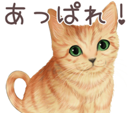 zumo edoben koneko sticker #9579680