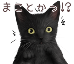 zumo edoben koneko sticker #9579681