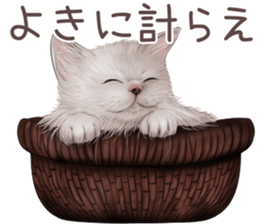 zumo edoben koneko sticker #9579682