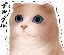 zumo edoben koneko sticker #9579685