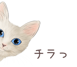 zumo edoben koneko sticker #9579692