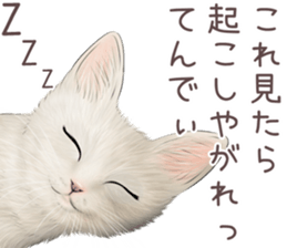 zumo edoben koneko sticker #9579694