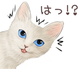 zumo edoben koneko sticker #9579695