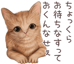 zumo edoben koneko sticker #9579698