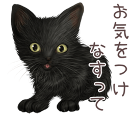 zumo edoben koneko sticker #9579702