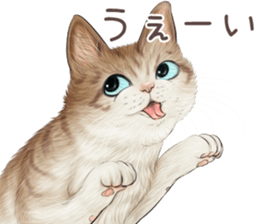 zumo edoben koneko sticker #9579705