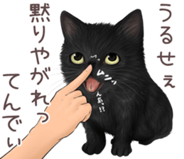 zumo edoben koneko sticker #9579709