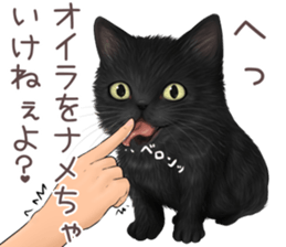 zumo edoben koneko sticker #9579710