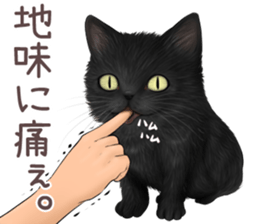 zumo edoben koneko sticker #9579711