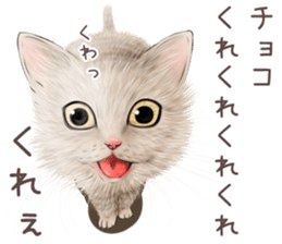 zumo edoben koneko sticker #9579712