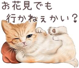 zumo edoben koneko sticker #9579713