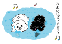Pomepome with its 2 friends. sticker #9580440