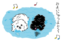 Pomepome with its 2 friends. sticker #9580440