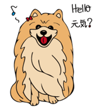 Pomepome with its 2 friends. sticker #9580442