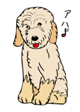 Pomepome with its 2 friends. sticker #9580443