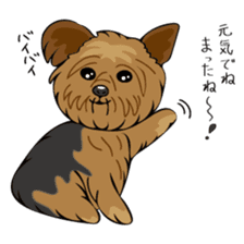Pomepome with its 2 friends. sticker #9580449