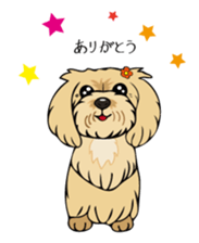 Pomepome with its 2 friends. sticker #9580474