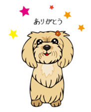 Pomepome with its 2 friends. sticker #9580474