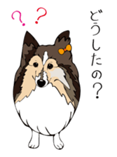 Pomepome with its 2 friends. sticker #9580486