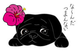 Pomepome with its 2 friends. sticker #9580490