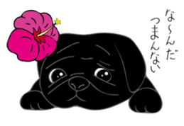 Pomepome with its 2 friends. sticker #9580490