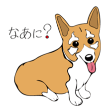 Pomepome with its 2 friends. sticker #9580492