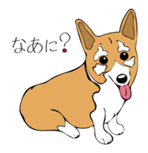 Pomepome with its 2 friends. sticker #9580492