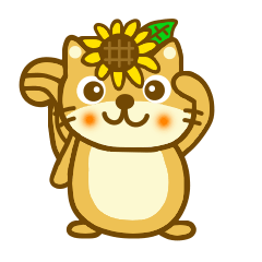 Sunflower squirrel