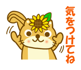 Sunflower squirrel sticker #9580977