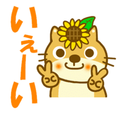 Sunflower squirrel sticker #9580981