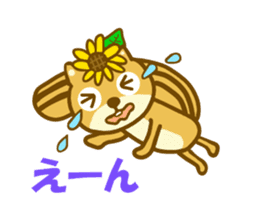 Sunflower squirrel sticker #9580994