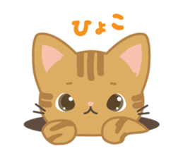MonChaton byAico. sticker #9587241
