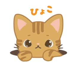 MonChaton byAico. sticker #9587241