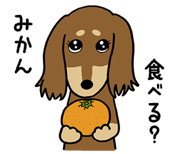 Dachs Dachs sticker #9588040