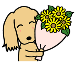 Dachs Dachs sticker #9588042