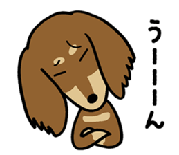 Dachs Dachs sticker #9588068