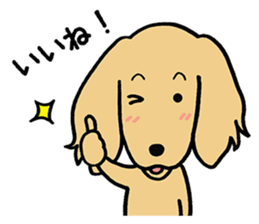 Dachs Dachs sticker #9588071