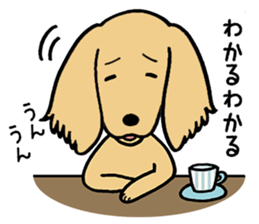 Dachs Dachs sticker #9588078