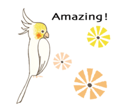 Chirping birds sticker #9589093