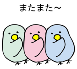 KOTORIKO sticker #9595750