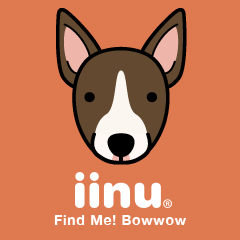 iinu - Miniature Bull Terrier