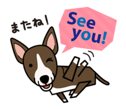 iinu - Miniature Bull Terrier sticker #9597083