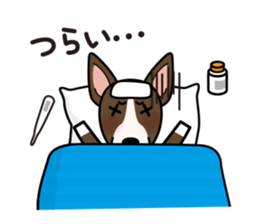 iinu - Miniature Bull Terrier sticker #9597089