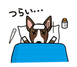 iinu - Miniature Bull Terrier sticker #9597089