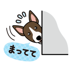 iinu - Miniature Bull Terrier sticker #9597091