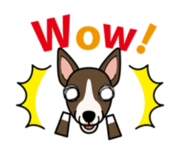 iinu - Miniature Bull Terrier sticker #9597092