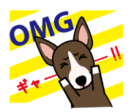 iinu - Miniature Bull Terrier sticker #9597114