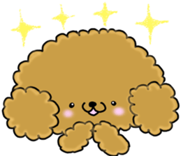 Usable toy poodle sticker #9602605
